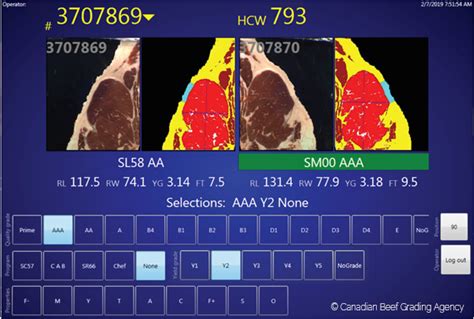 USMARC Beef Carcass Instrument Grading Systems